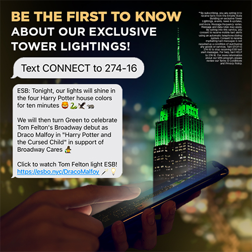 エンパイア ステート ビル: ニューヨーク市のトップ アトラクションを訪問